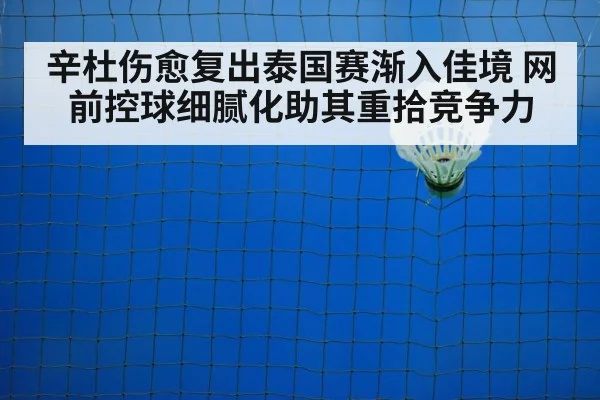 badminton net play
