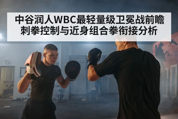 中谷润人WBC最轻量级卫冕战前瞻 刺拳控制与近身组合拳衔接分析 | jiuyou game